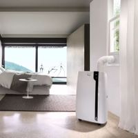 DELONGHI Penguino Pac Ex100 Silent Klimagerät