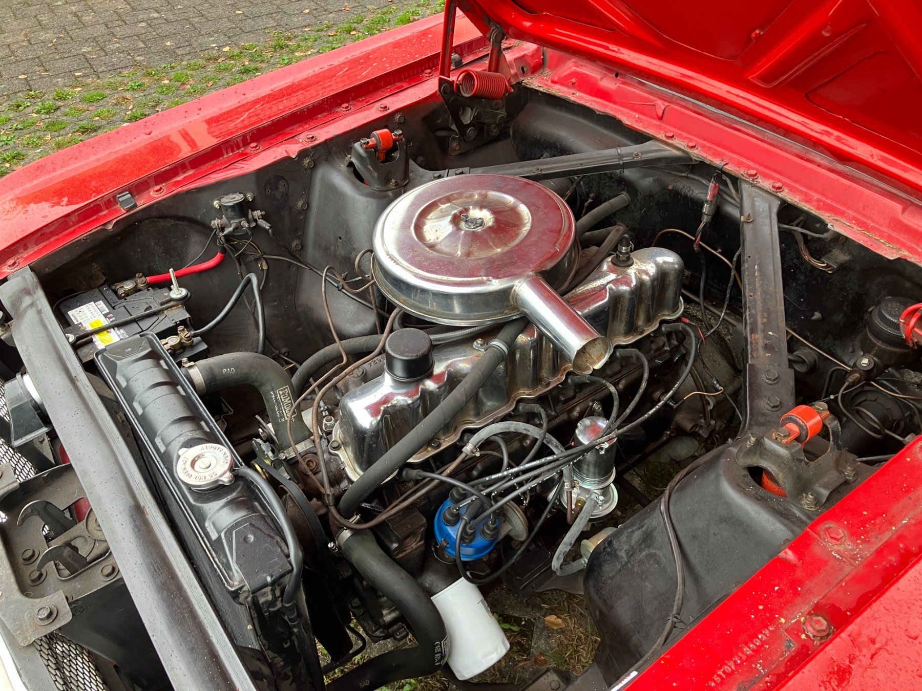 Ford Automobili: 1965 Ford Mustang Coupe – Usato da Wallisellen venduto da zsc101 3