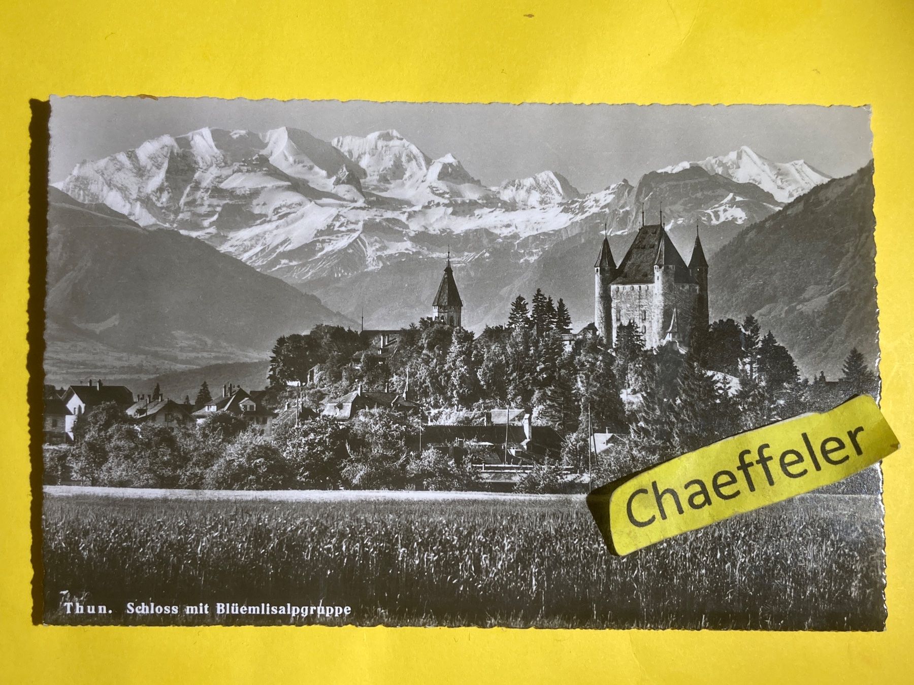 Ansichtskarten: 1950 Thun. Schloss mit Blümlisalpgruppe – Gebraucht aus Zürich von Chaeffeler