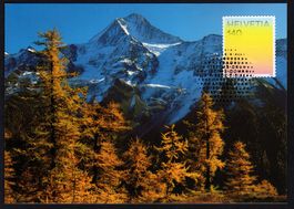 MK Farben der CH - Lärchengold, im Lötschental, Bietschhorn
