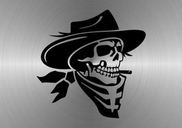 Fun Aufkleber Tuning Sticker Decal 439