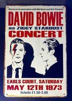 Blechschild-DAVID BOWIE AS ZIGGY STARDUS