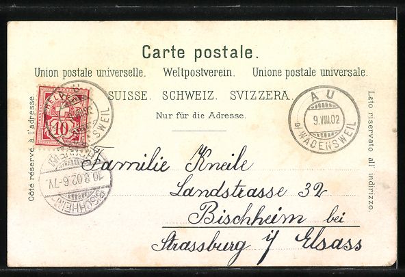 Cartoline postali: Wädenswil, Blick vom Wasser auf Wädens – Usato da Berlin venduto da bartko-reher 1