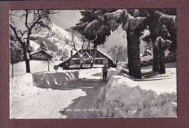 CAUX - Skieur