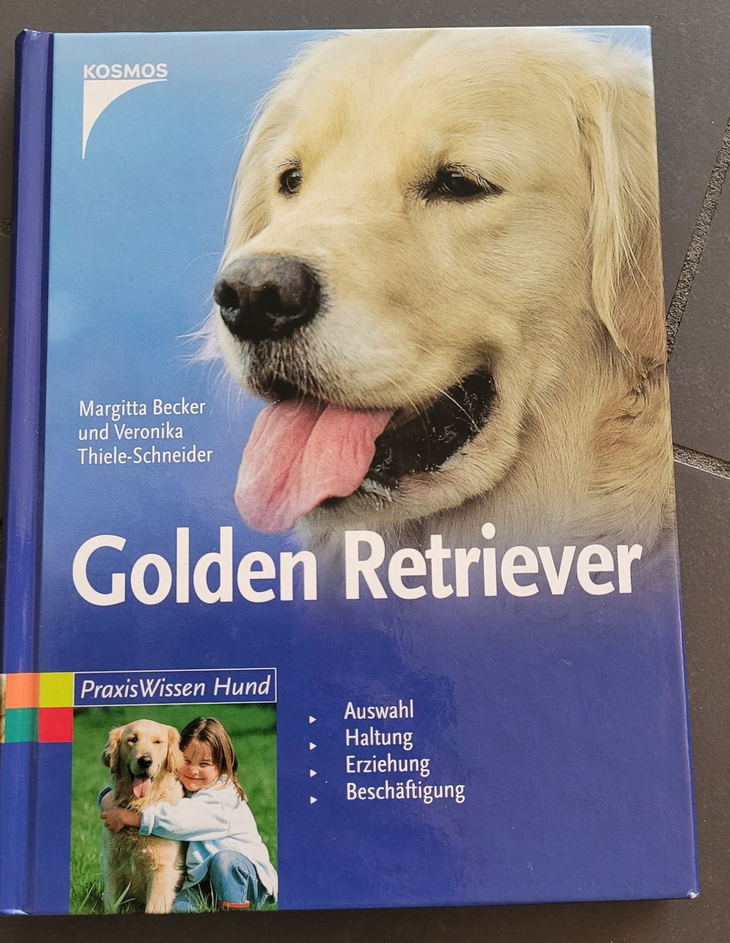 Libri: Buch Golden Retriever  – Usato da Kappel SO venduto da Matschi86