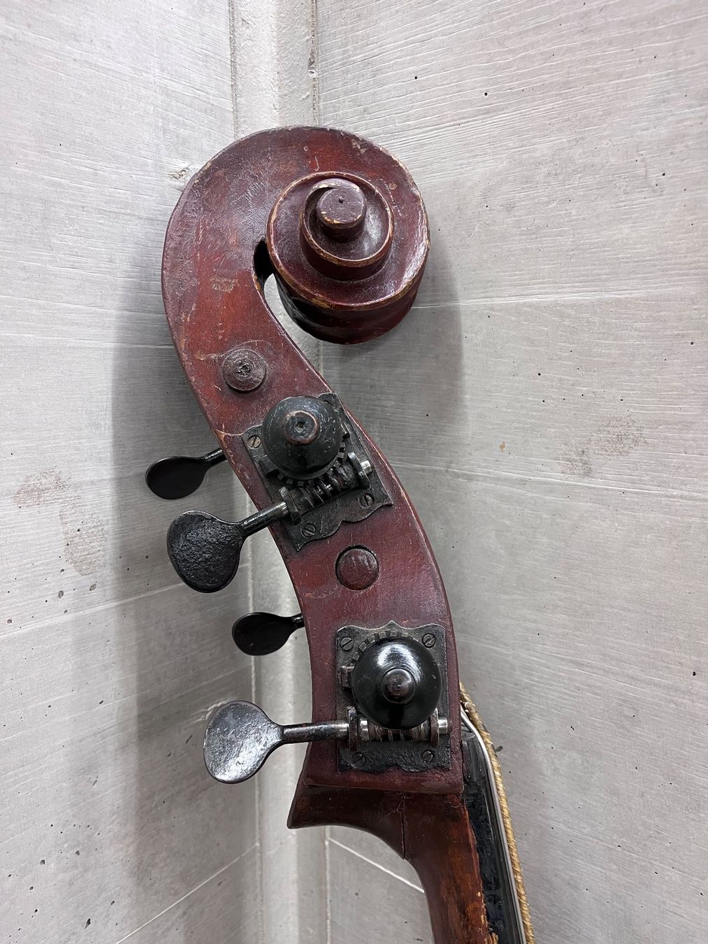 Strumenti musicali: Kontrabass alt – Usato da Zürich venduto da Arakanga163 2
