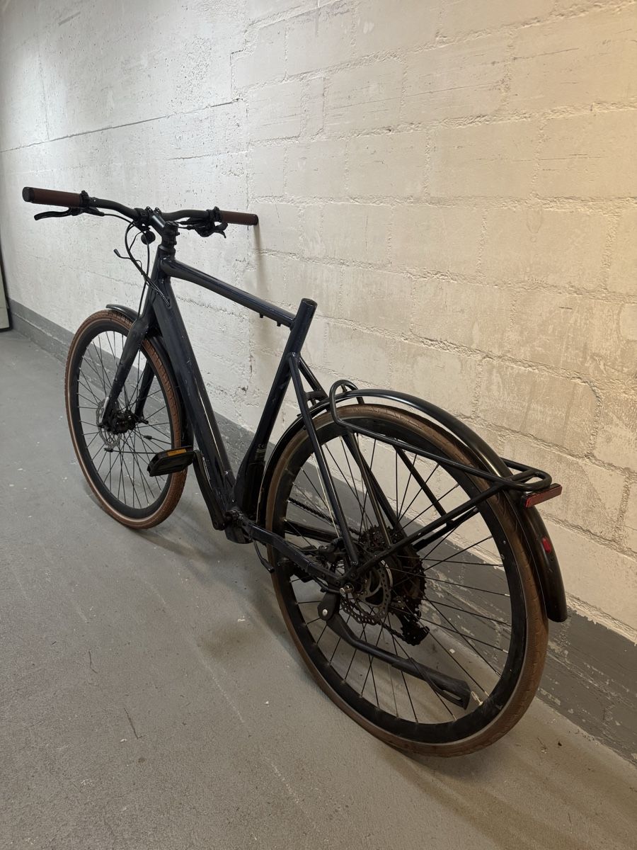 Biciclette: E-Bike Ego Movement – Difettoso da Wil SG venduto da andi_aliaj 1