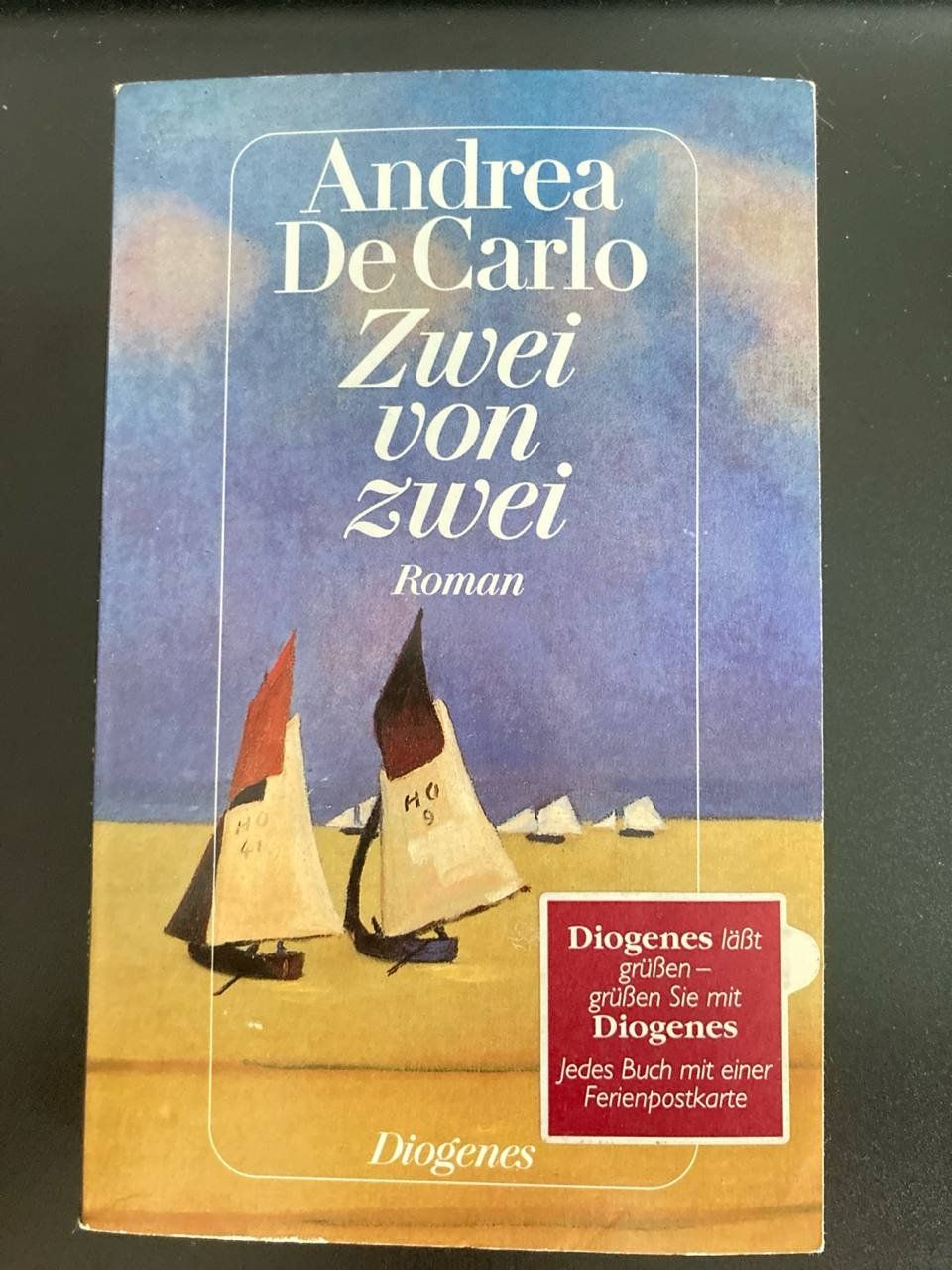 Bücher: Zwei von zwei  :  Andrea de Carlo  diogenes – Gebraucht aus Frauenfeld von SCHATZtruhe369