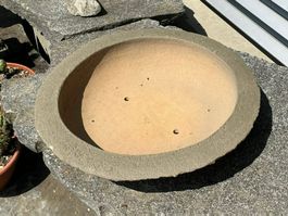 Bonsai Schale ab Fr. 1.— XXXL gross