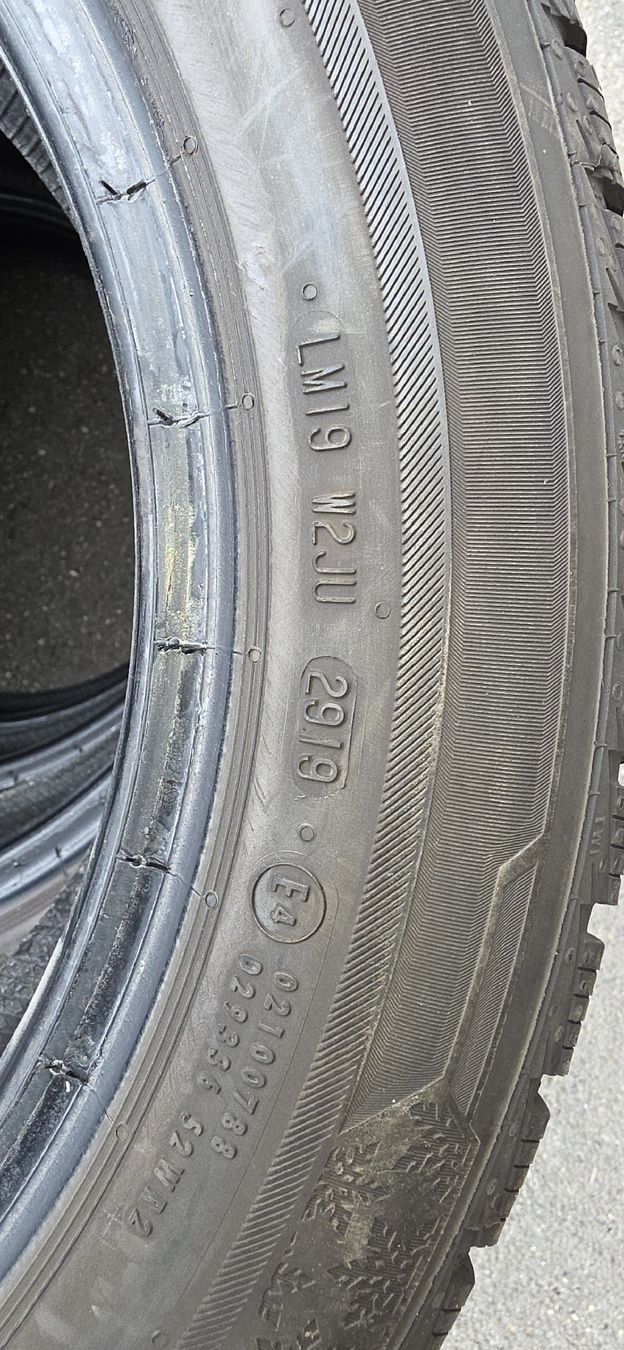 Barum Pneumatici & Ruote complete: Winterpneu 195/55/R16 M+S – Usato da herzogenbuchsee venduto da jamma01 2