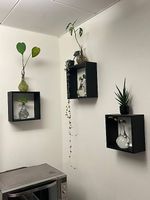 Lot de 3 étagères murales cube carré en bois noir