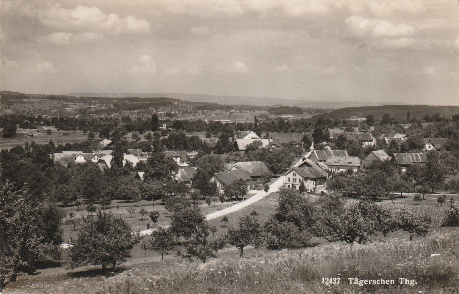 Cartoline postali: Tägerschen – Usato da Rorschacherberg venduto da fratovi2