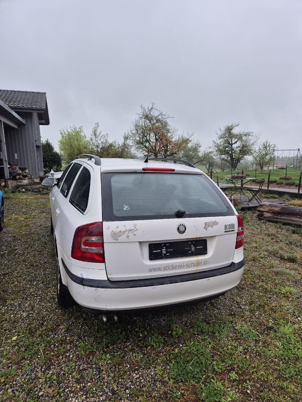Skoda Automobili: skoda octavia 1.9 TDI 4x4 – Usato da Oetwil am See venduto da noah3806 3