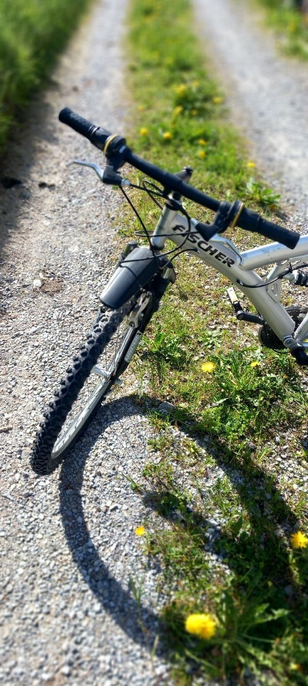 Fischer Biciclette: Fischer Mountainbike Silber – Usato da Ebnat-Kappel venduto da blazzi 1