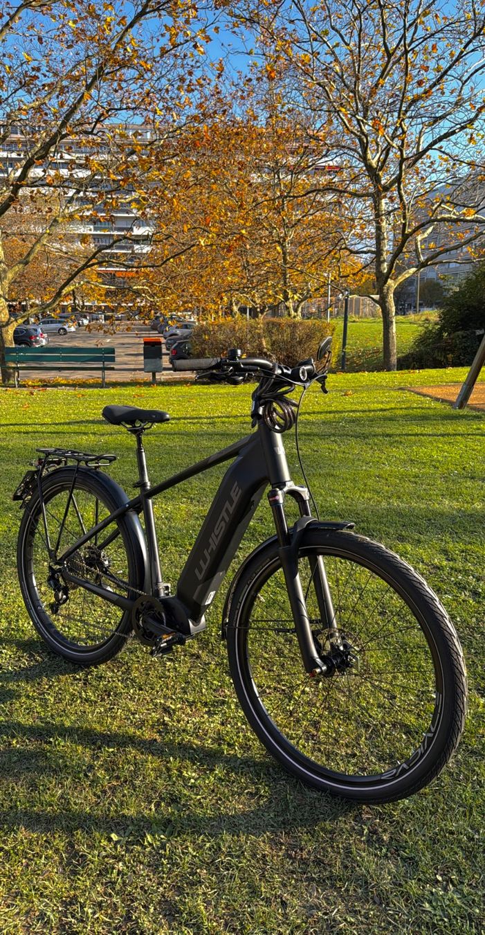 Biciclette: Vélo WHISTLE Highspeed P500 29 – Usato da Onex venduto da Flo.islm