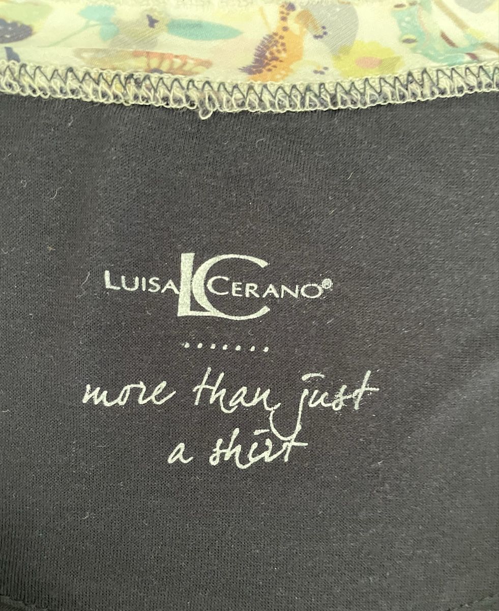 Luisa Cerano Top: Blusentop Luisa Cerano – Usato da Grenchen venduto da tybri 2