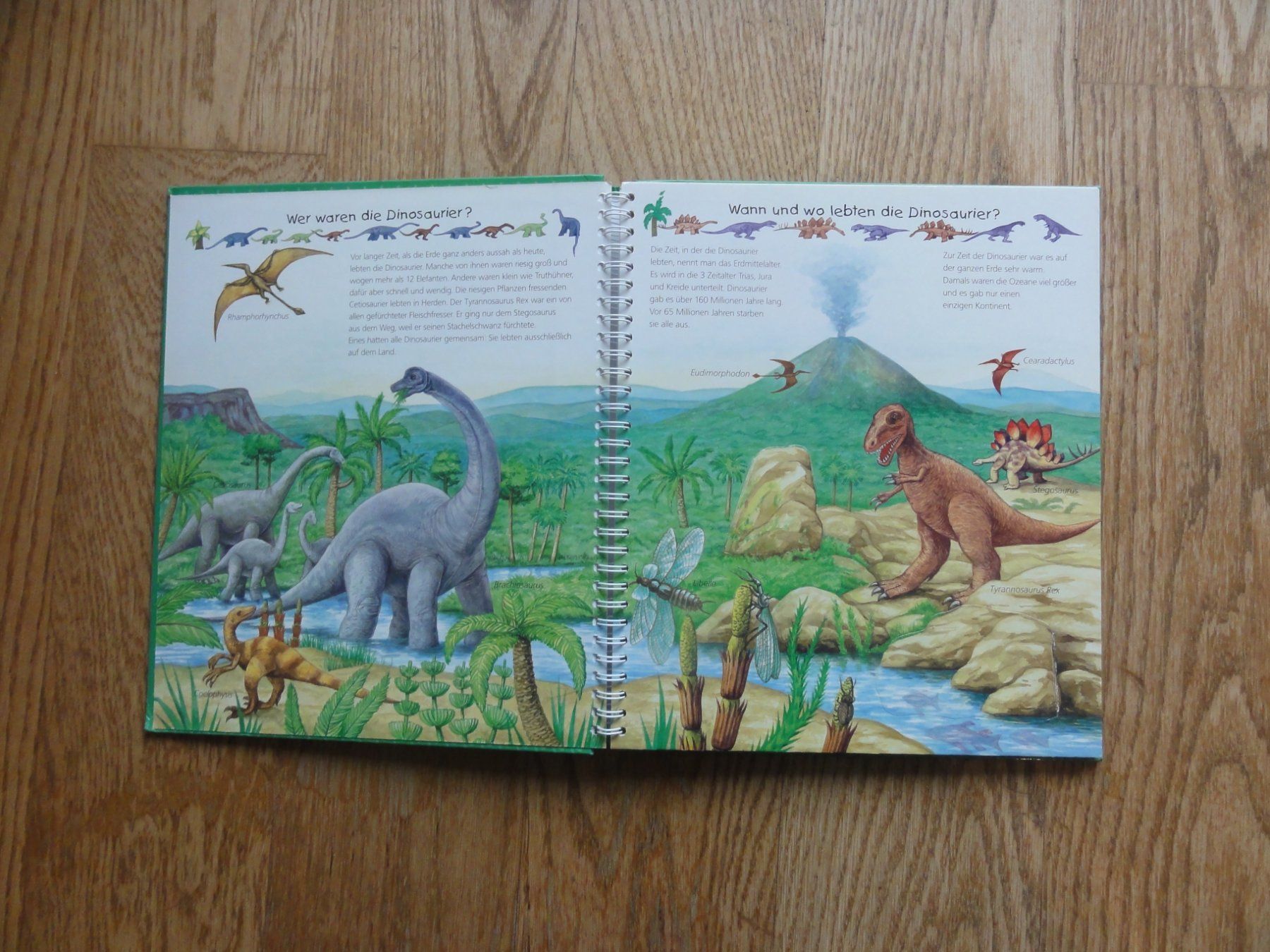 Libri: Dinosaurier: Wieso? Warum? Weshalb? – Usato da Riedholz venduto da Taweva 1