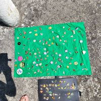 Pins collection