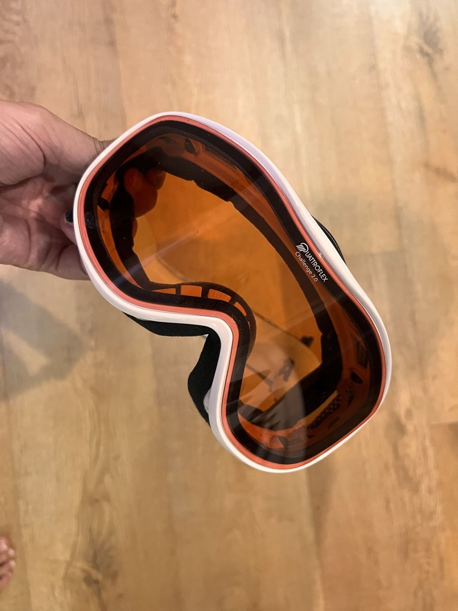 Occhiali & Lenti: Skibrille Alpina – Usato da Münchenbuchsee venduto da grau10