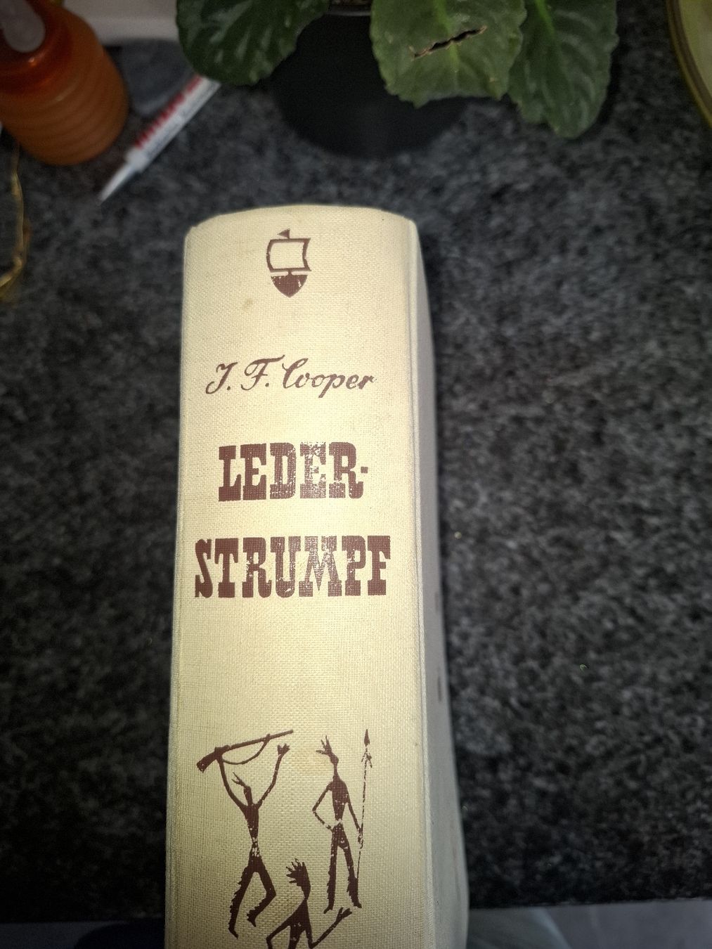 Libri: Buch Lederstrumpf – Usato da Andelfingen venduto da andelfingerin
