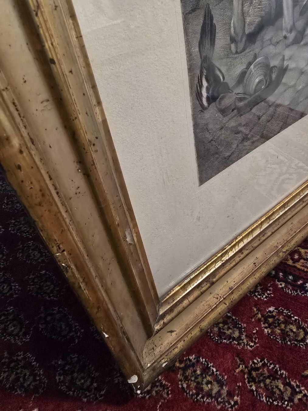 Incisioni: antike Gravur – Usato da Bern venduto da Mr.Garcia300 7