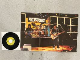 Vic Vergat  Single  - Down To The Bone ( Poster Cover)