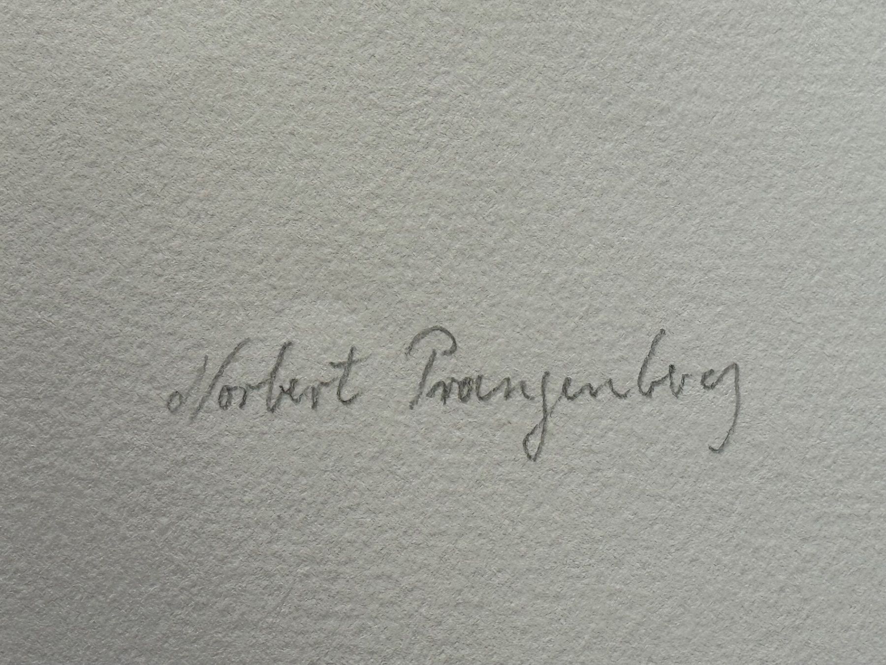 Grafica & Litografie: PRANGENBERG Norbert 1949-2012 konkrete Kunst signiert – Usato da Bern venduto da Jwpm66 2