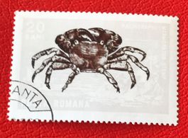Briefmarke aus Rumänien gestempelt   ﻿ Siehe Original Fotos 