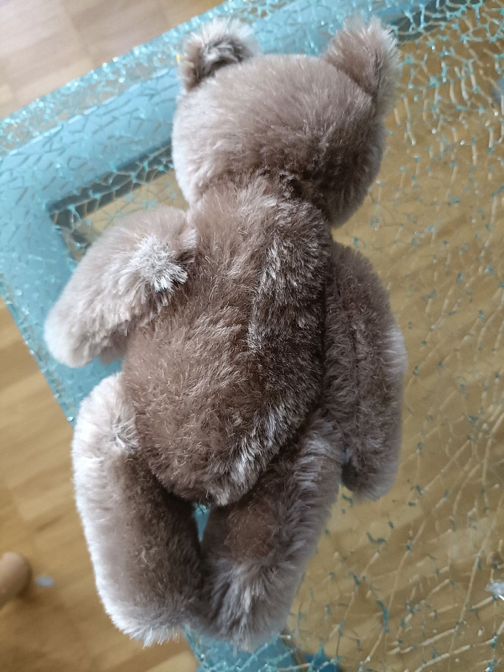 Steiff Giocattoli: Süsser Steiff Teddybär, 40 Jahre alt – Nuovo (secondo la descrizione) da Schinznach Bad venduto da knucker 5