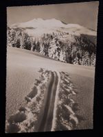 . FLUMSERBERG - WINTER