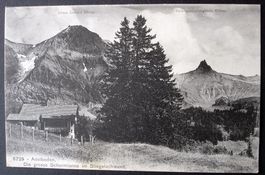 ADELBODEN Die grosse Schermtanne im Stiegelschwand