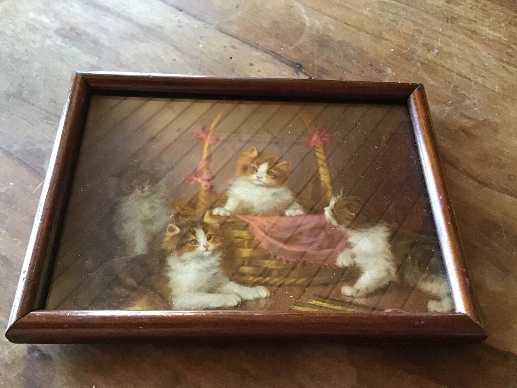 Foto & Immagini: Altes antikes Katzenbildli – Usato da St. Gallen venduto da Goldlilly 1