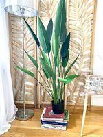 Pianta artificiale Altezza 127cm larghezza vaso 14 cm