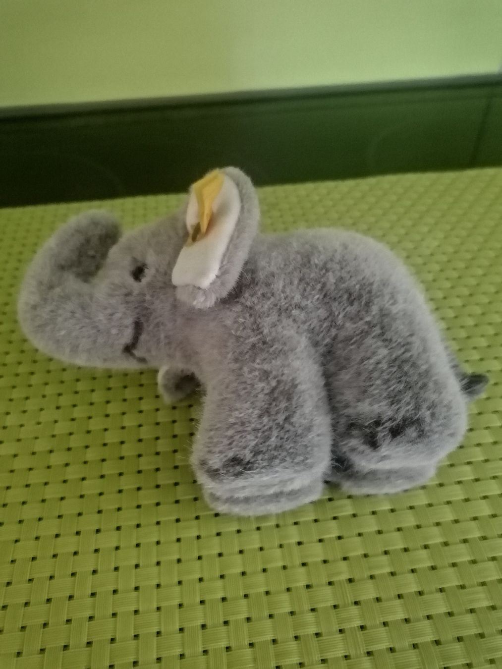 Steiff Spielzeuge: Steiff elefant Jumbo klein – Gebraucht aus Biberist von troedlerheinz 2