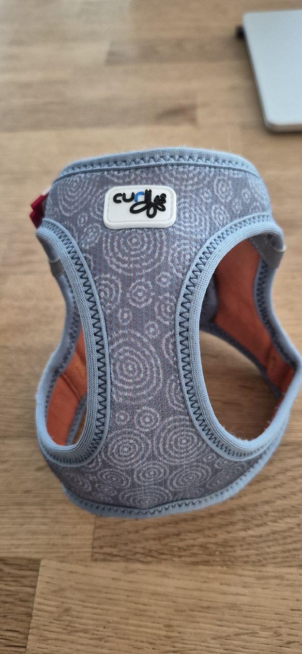 Guinzagli & Collari: curli Geschirr Gr. XS – Nuovo (secondo la descrizione) da oberuzwil venduto da Dogstyle