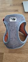 curli Geschirr Gr. XS