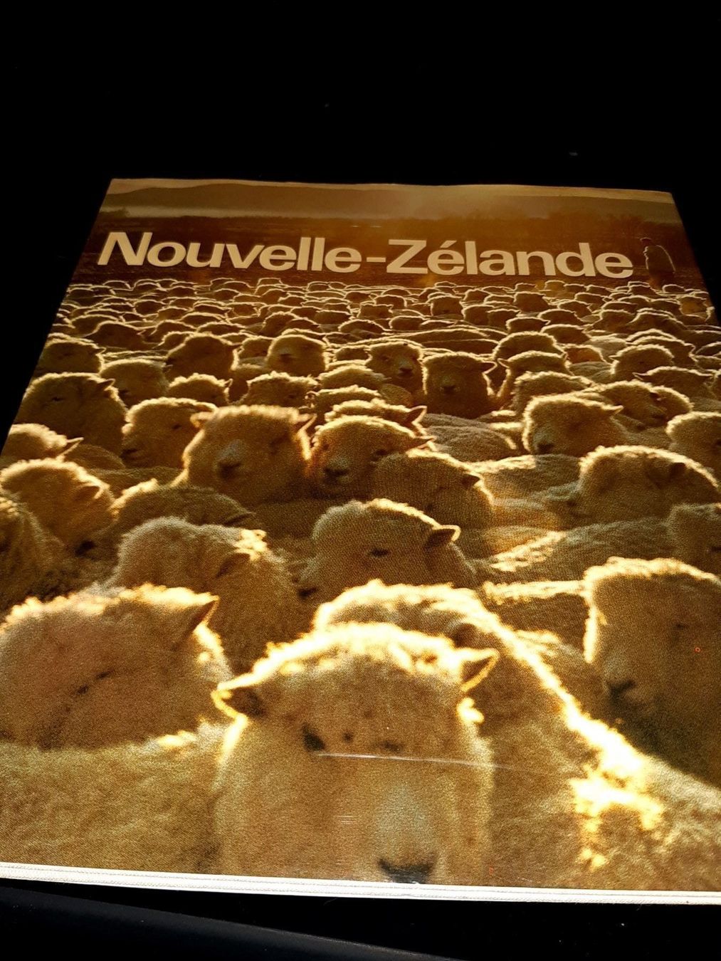 Libri: Nouvelle-zelande – Usato da Le locle venduto da juliensaran
