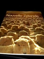 Nouvelle-zelande