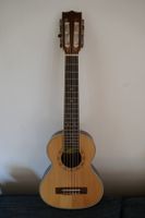 Reise Gitarre