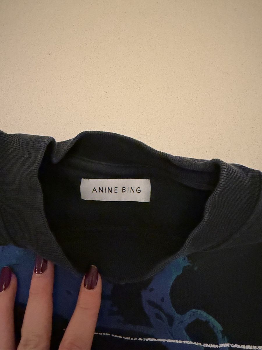 Anine Bing Maglioni & Felpe: Anine Bing Pullover washed grey mit Muster – Usato da Kriens venduto da carlaestelladali 2