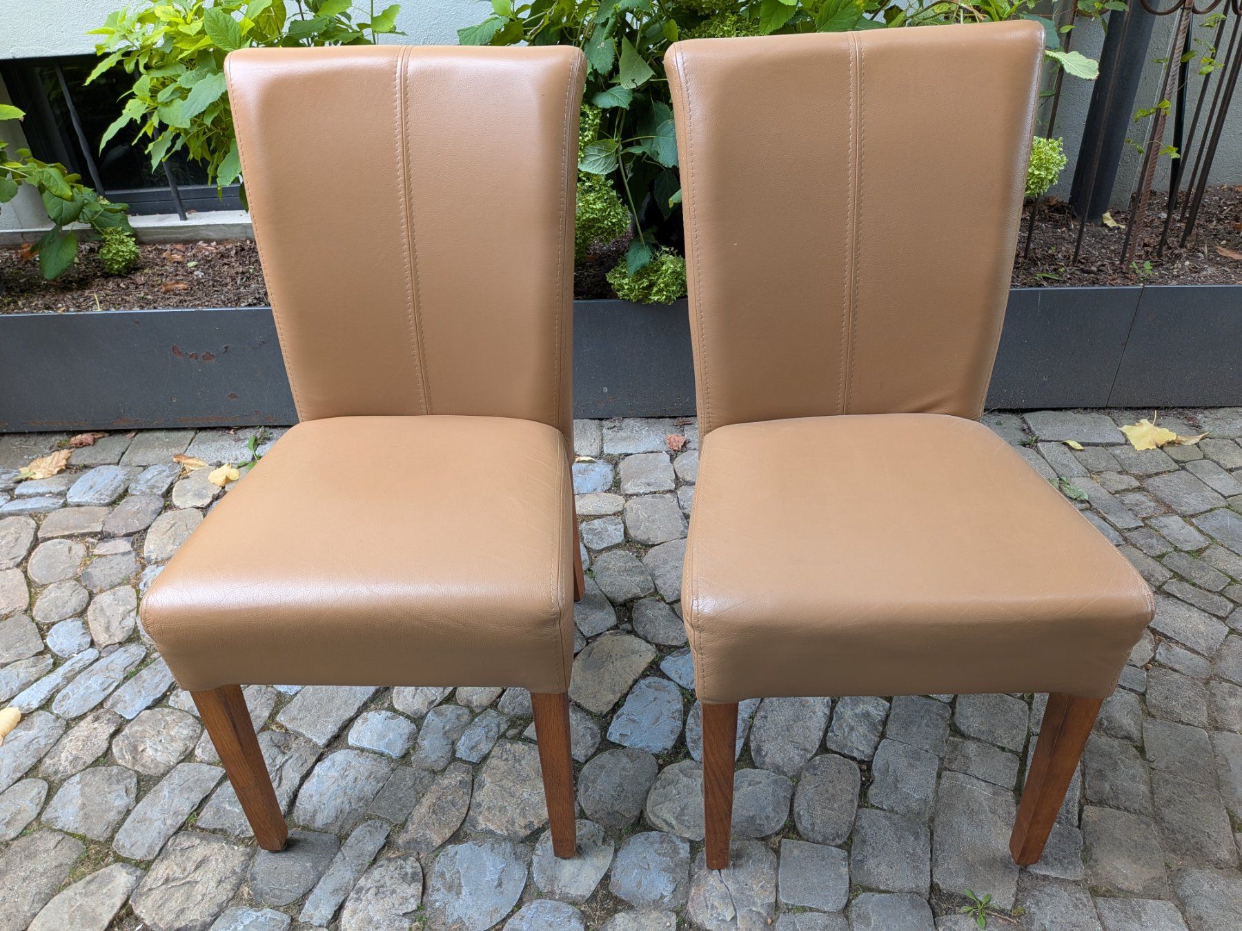 Chaises: 2 Esszimmerstühle Leder – D'occasion à Aefligen par madakape