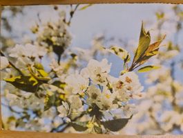 Postkarte