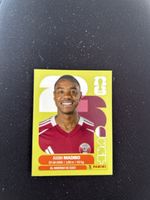 Panini QAT 11