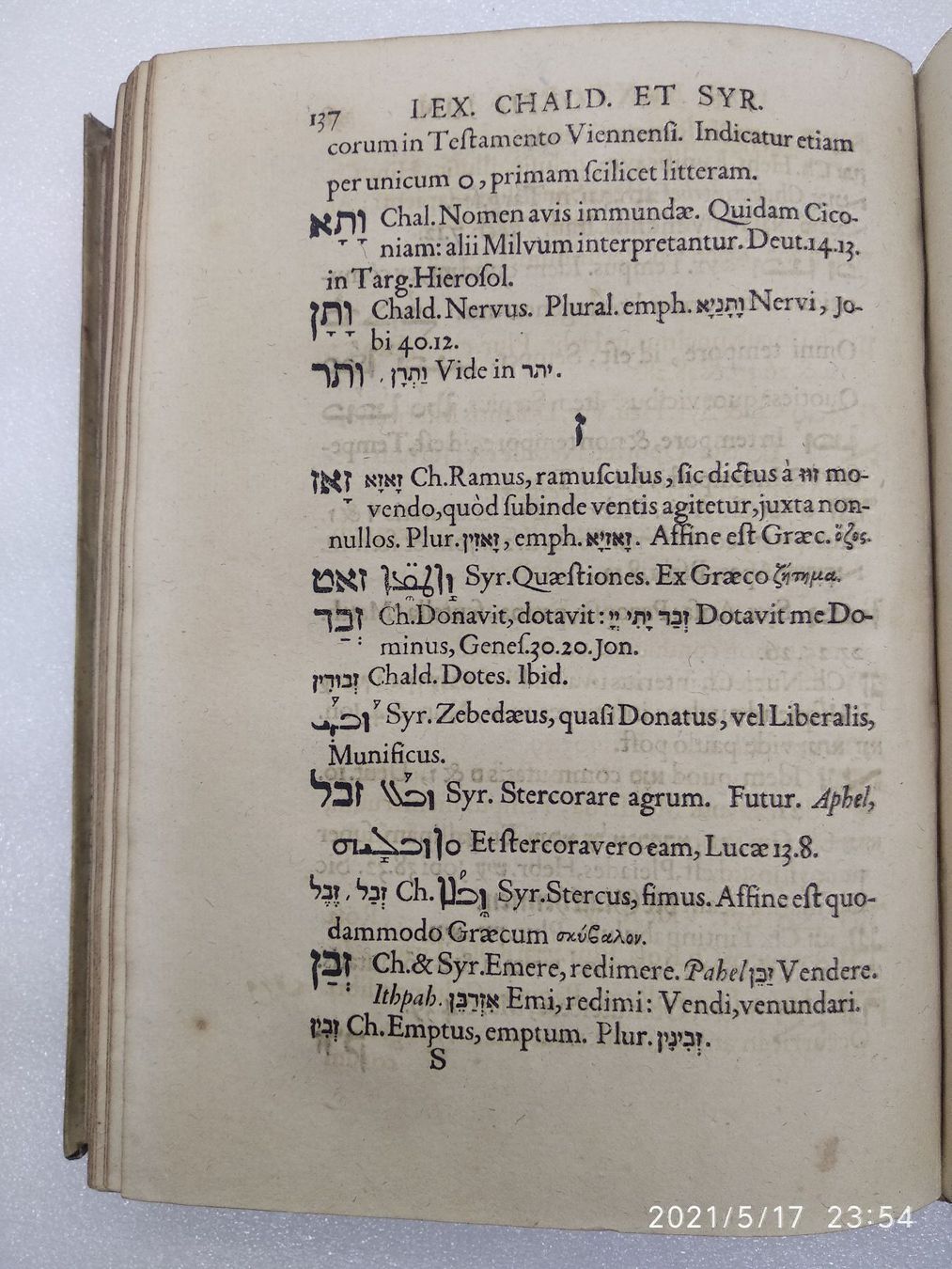 Orologi: HEBRAICUM - BUXDORF 1622 – Usato da Goldach venduto da Gaip 4