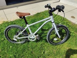Early Rider Belter 16"