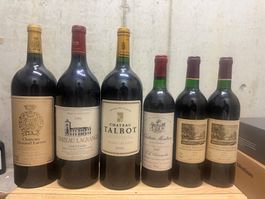 6 Top Bordeaux Weine