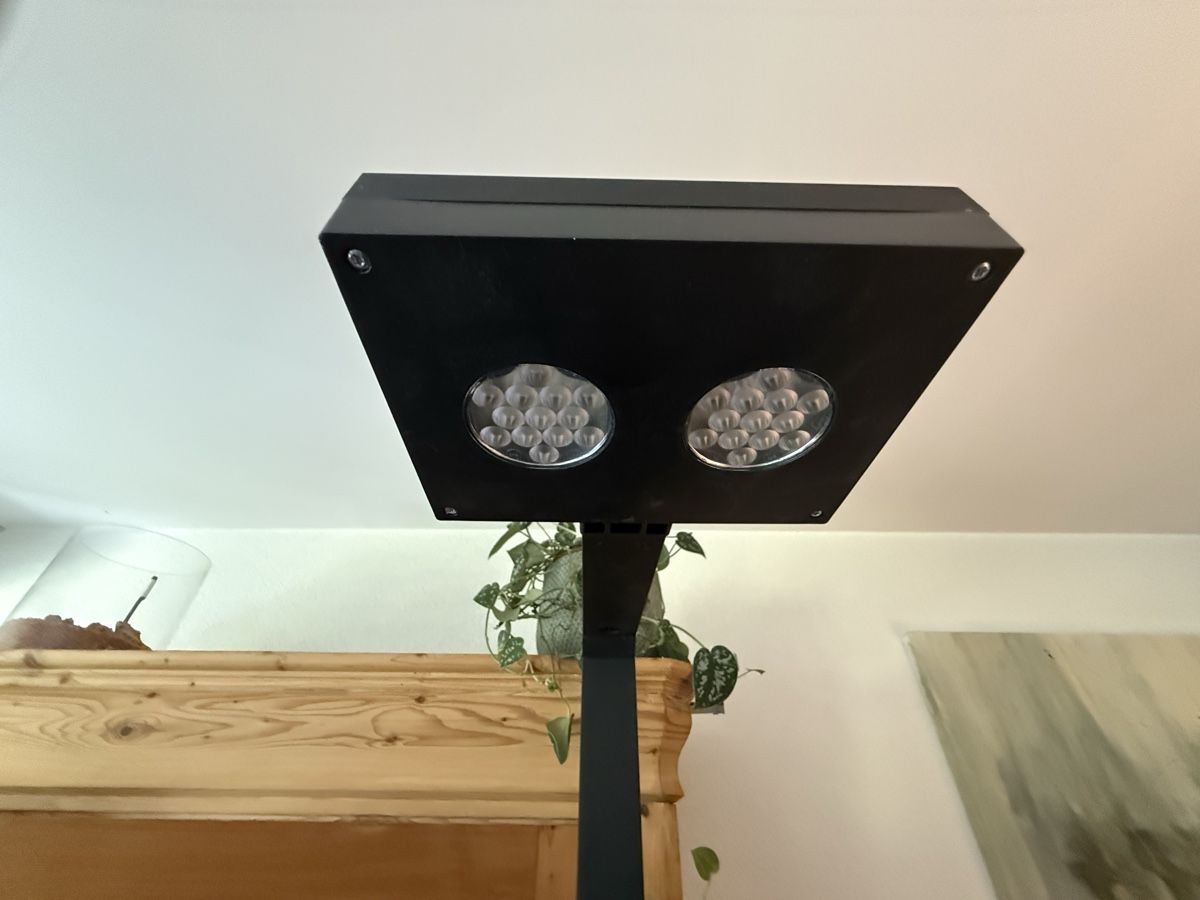 Aquarium: Red Sea Maxe-170 Aquarium  – Gebraucht aus Pfäffikon ZH von dan_xs7t 1