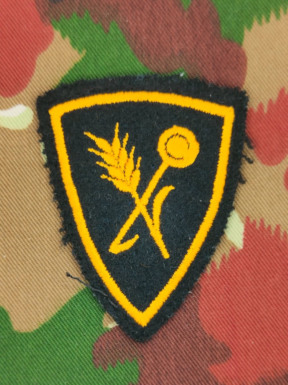 Schweizer Armee Plaketten & Abzeichen: Funktionsabzeichen Küchenchef / Truppenkoch Ord. 1995, V4 – Gebraucht aus Bauma von SwissMilitaria