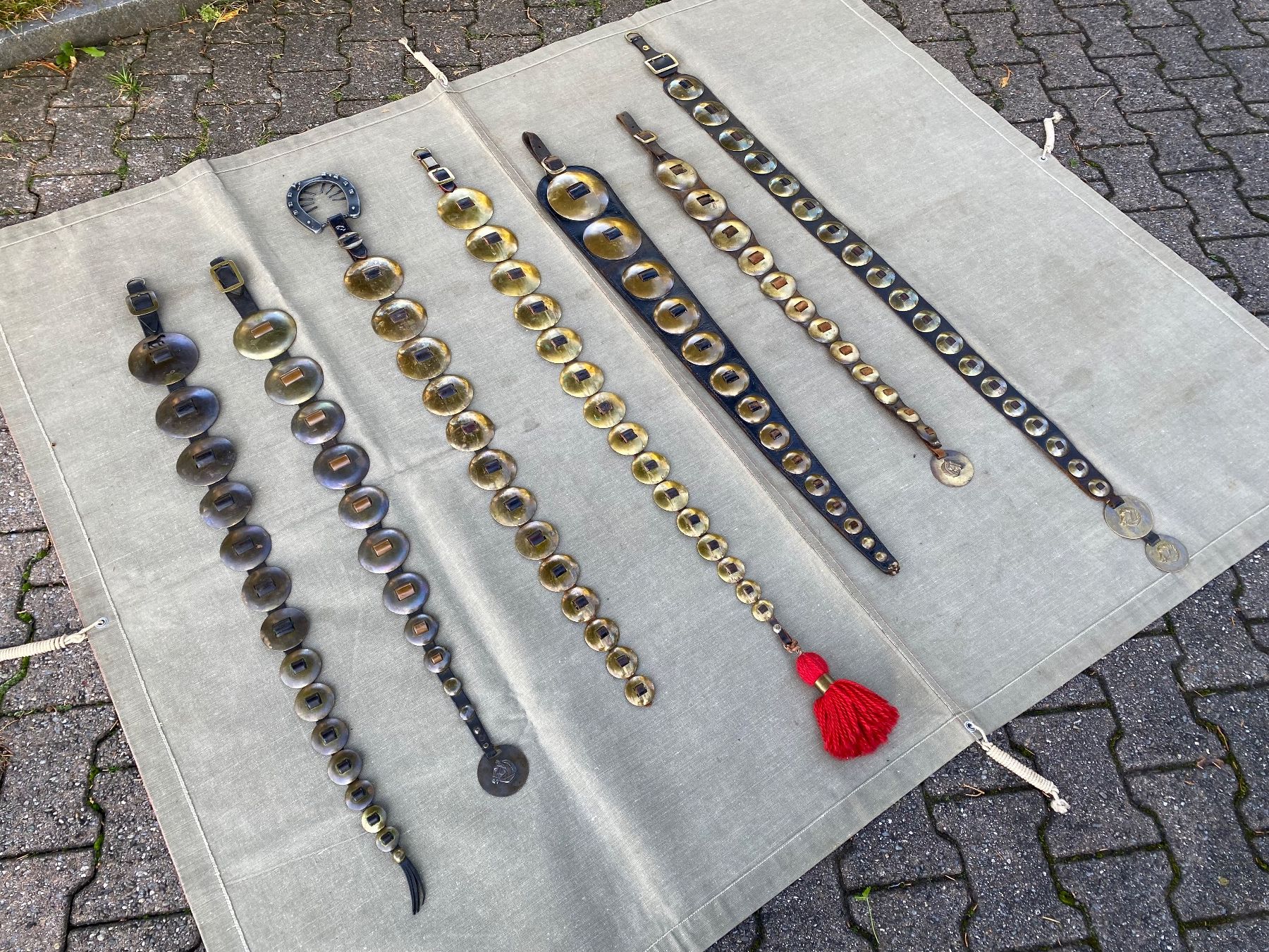 Campanacci mucche: 7 schöne Staatsriemen – Usato da Feldbach venduto da Fea1 3