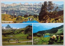 Flumserberg : Ferien- und Wandergebiet Seebenalp